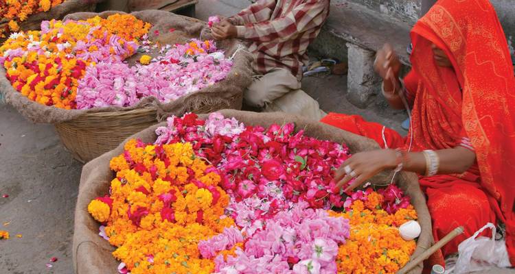 Verkäufer sortieren lebendige Körbe mit Ringelblumen- und Rosenblütenblättern auf einem Außenblumenmarkt.