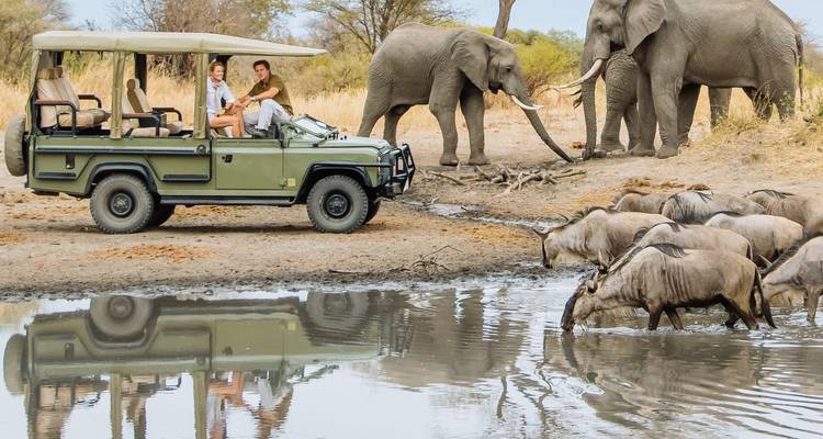Véhicule de safari ouvert à côté d'éléphants tandis que des gnou s'abreuvent à un point d'eau réfléchissant