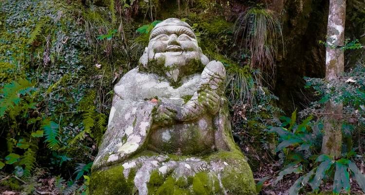Statue de pierre couverte de mousse représentant une figure souriante entourée de plantes forestières luxuriantes et de fougères.