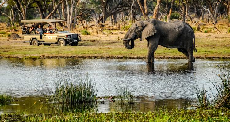 Ein Elefant watet in einem Wasserloch, während Touristen von einem Safarifahrzeug am Waldrand aus zusehen.