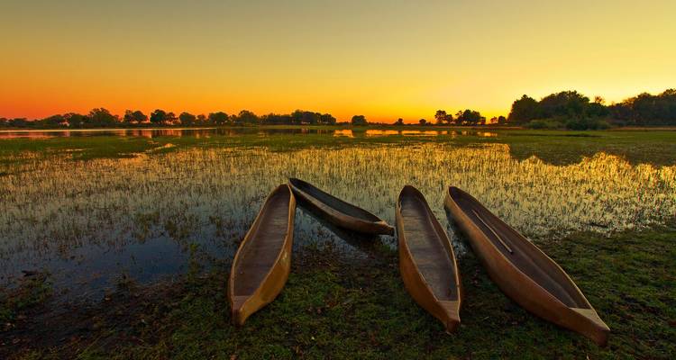 Vier traditionelle Holzkanoes ruhen auf sumpfigem Gras neben einem reflektierenden Feuchtgebiet bei glühendem Sonnenuntergang.