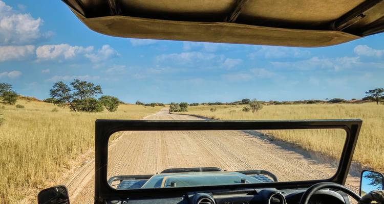 Aussicht aus einem offenen Safarifahrzeug, das auf einer Sandpiste durch trockene Savanne fährt.