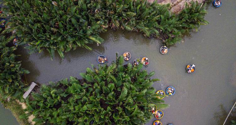 Vogelperspektive von kreisförmigen Korbbooten, die durch einen üppigen Wasserkokosnuss-Waldkanal paddeln