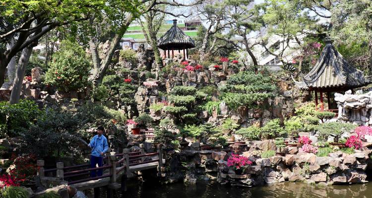 Persoon die een klassieke Chinese tuin verkent met sierlijke paviljoens, rotspartijen en bloeiende azalea's naast een vijver
