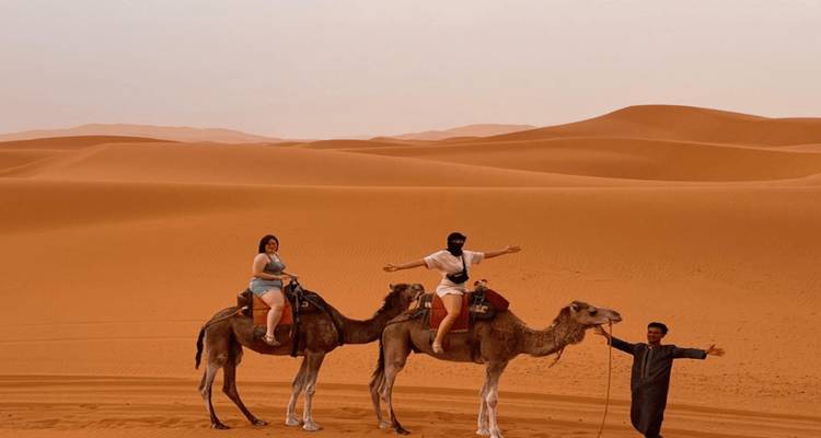 Tourists posing on camels against sweeping orange dunes of the Sahara.