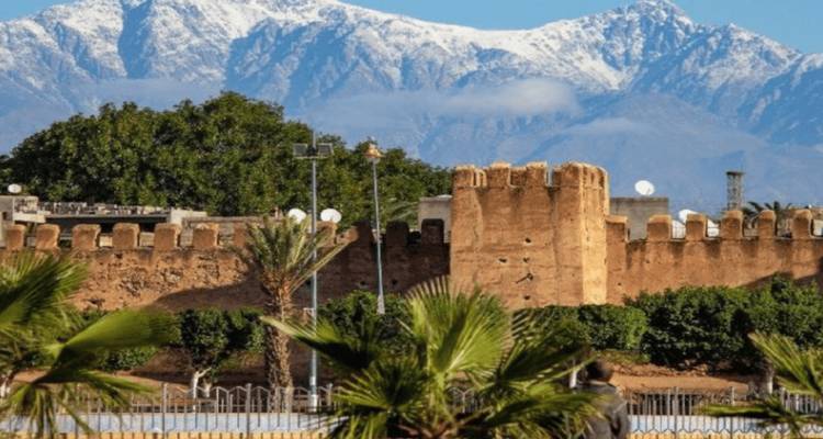 Snow-capped Atlas Mountains behind ancient reddish city walls and palm trees.