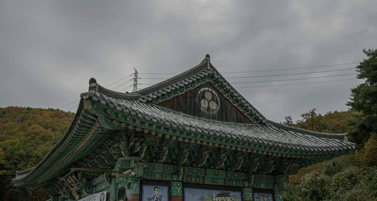 Versierd groen betegeld dak van een Koreaanse tempel tegen een grijze bewolkte hemel en bosrijke heuvel