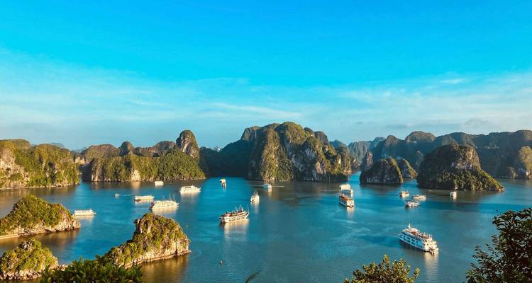 Wijds uitzicht over de blauwe Halong Bay met tientallen witte cruiseschepen tussen groene kalksteenpieken.