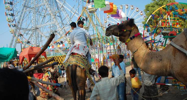 Bustling Pushkar Camel Fair with decorated camels, riders and colorful ferris wheels filling the scene.