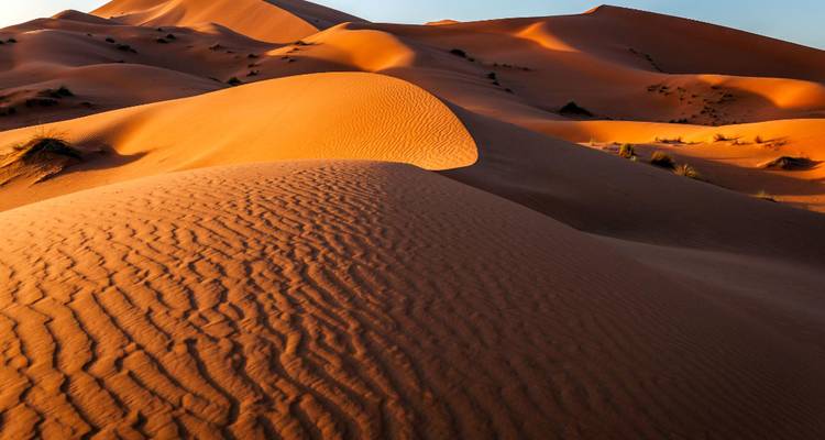 Des dunes de sable doré, façonnées par le vent, qui s'illuminent à la lumière du jour déclinant avec des ondulations nettes au premier plan