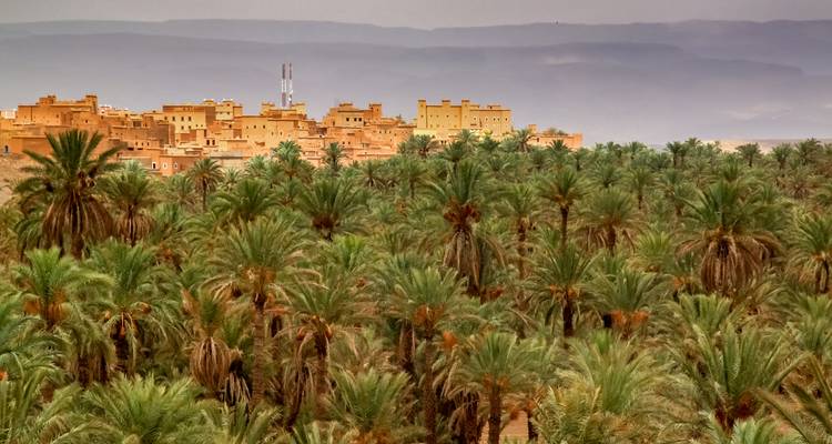 Lush palm oasis spreads below an adobe town on a hazy desert plateau.