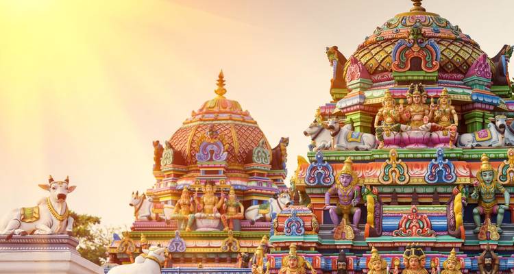 Vibrantly painted South Indian temple towers gleam in warm sunrise light with ornate carvings of deities and animals.