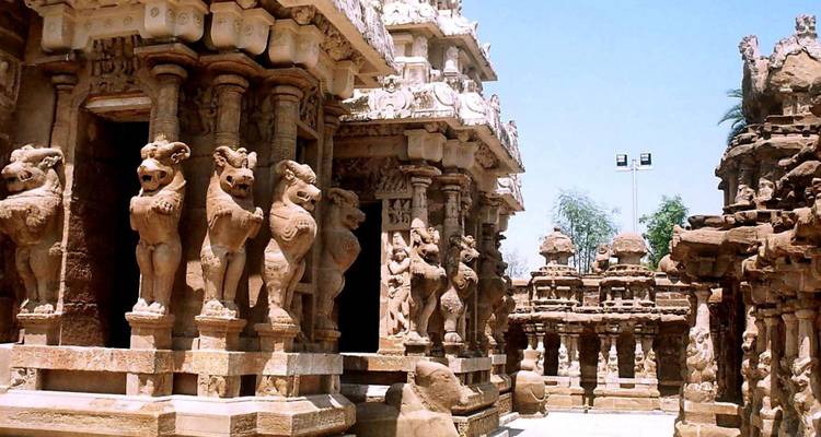 Intricately carved stone pillars featuring mythical lion sculptures inside an ancient Dravidian temple.