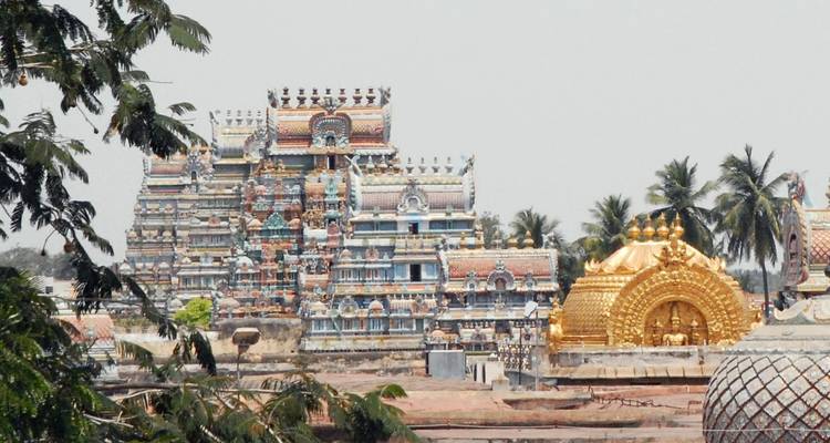 Panoramic view of a large South Indian temple complex with colorful and golden towers surrounded by palm trees.