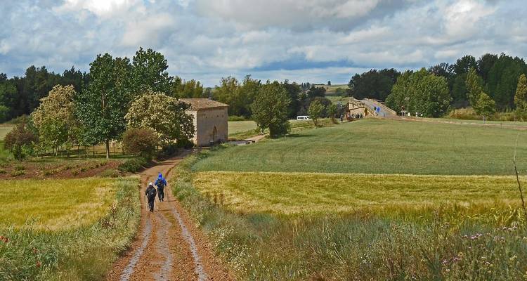 Drie wandelaars met rugzakken volgen een modderig plattelandspad tussen vergeelende velden onder wisselend weer.