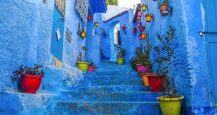 Ruelle d'un bleu vibrant à Chefchaouen décorée de pots de fleurs colorés