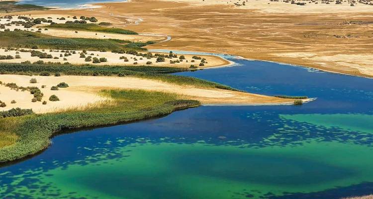 Un lagon aux teintes bleu-vert vibrant serpentant à travers les sables dorés du désert et des touffes de roseaux.