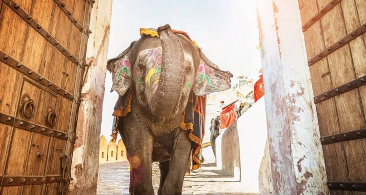 Decorated elephant emerging through a fort gateway with sunlight streaming, painted in bright colors and cloth.