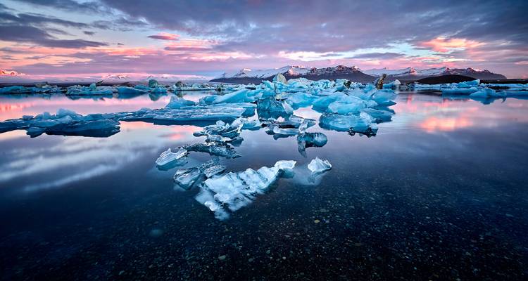 Schwimmende blaue Eisberge auf einer spiegelglatten Lagune, die pastellfarbene Sonnenuntergangshimmel mit entfernten Schneebergen widerspiegelt.