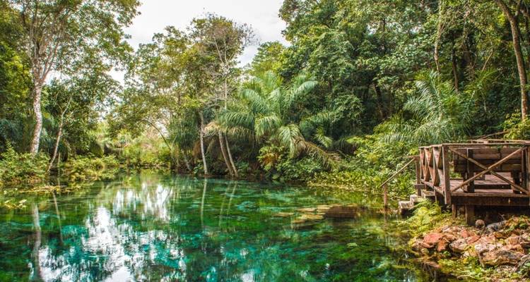 Source claire d'un vert émeraude entourée de végétation tropicale avec une plateforme d'observation en bois.
