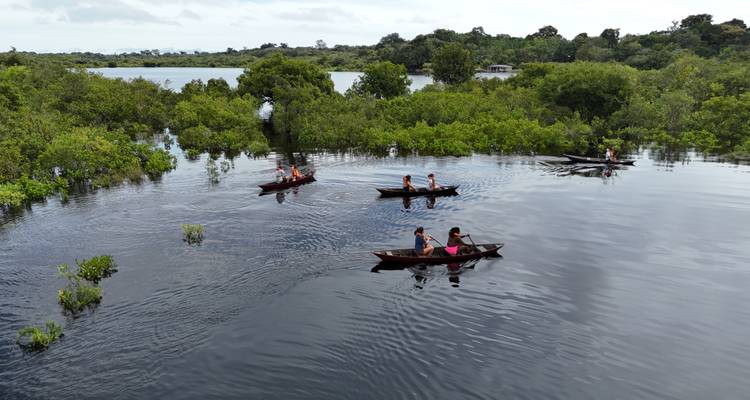 Mehrere kleine Holzkanoes gleiten durch ruhiges, spiegelndes Wasser inmitten eines überfluteten Amazonas-Waldes.