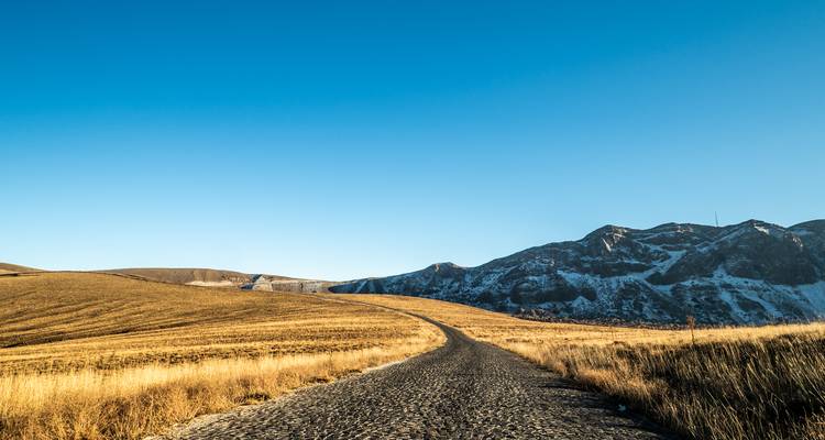 Lonely cobblestone road winds through golden grasslands toward snow-dusted mountains under a clear sky.
