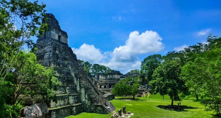 Stone Maya pyramid rising above lush jungle under a bright blue sky in Tikal National Park
