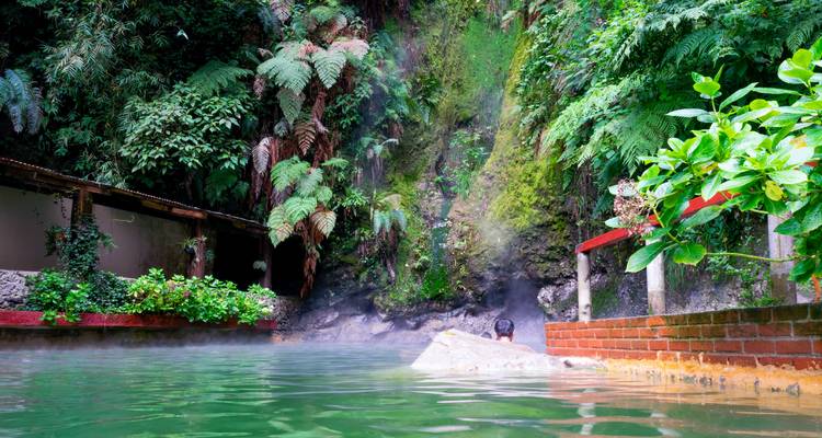 Steamy natural hot spring pool surrounded by lush ferns and mossy rock walls in the jungle