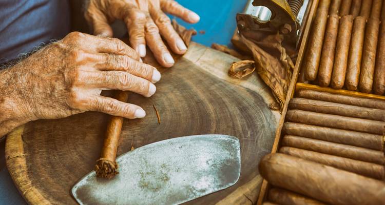 Close-up of seasoned hands expertly rolling cigars on a wooden board beside rows of finished cigars.