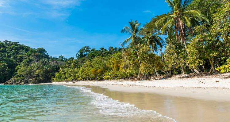 Plage de sable blanc immaculé bordée de palmiers et d'eau émeraude dans le parc national Manuel Antonio