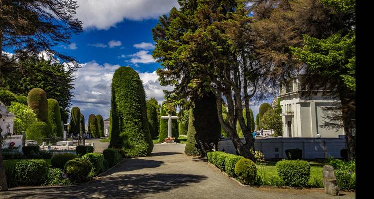 Garden walkway lined with sculpted green cypress and tall trees under a bright blue sky.