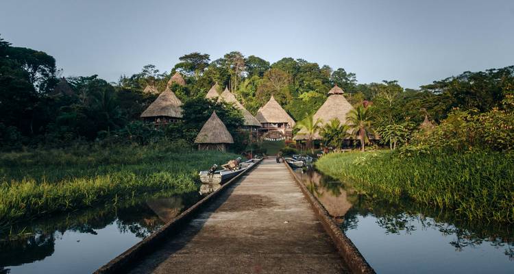 Huttes de jungle aux toits de chaume nichées dans une luxuriante forêt tropicale en bordure d'un ruisseau tranquille, vues depuis une longue passerelle étroite à la lumière de l'aube
