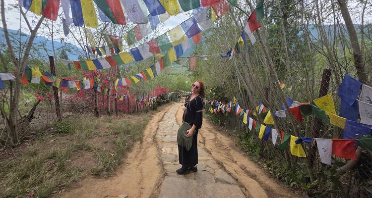 Traveler standing on a prayer-flag lined dirt path through lush valley in the mountains