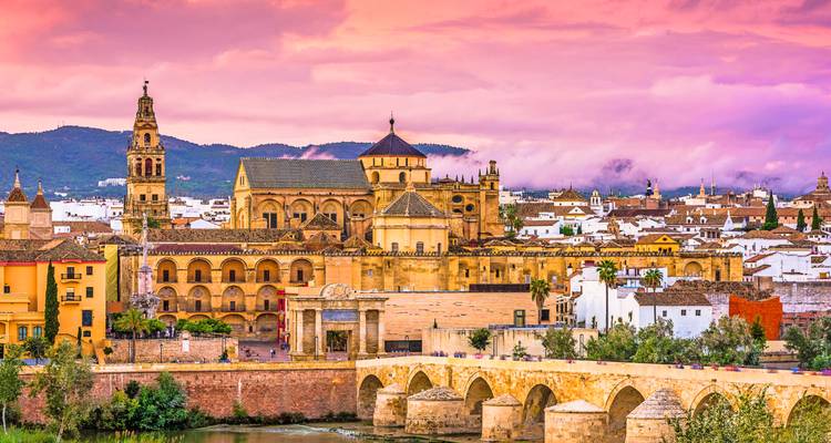 Cordoba cityscape at pink sunset with historic bridge over river and cathedral glowing in warm light.