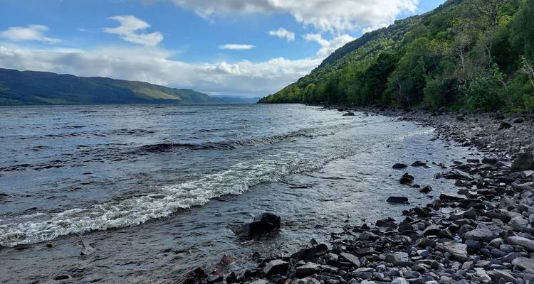Rivage rocheux d'un grand loch avec des vagues douces et des collines boisées au-delà