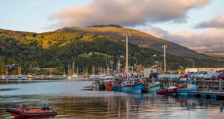 Des bateaux de pêche alignés à un quai avec des collines boisées et des nuages du soir en arrière-plan