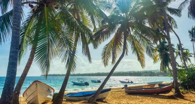 Tropical beach lined with leaning palm trees and small fishing boats resting on golden sand.