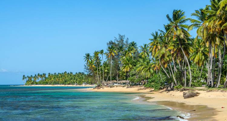 Long stretch of palm-fringed sandy beach meeting turquoise Caribbean waters under a clear blue sky.