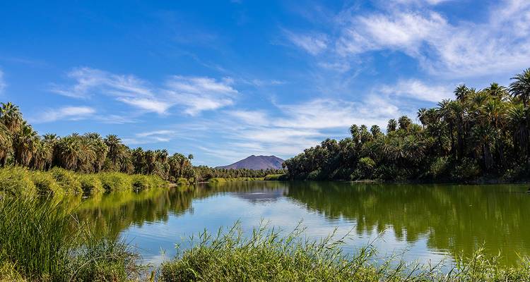 Un lagon d'eau douce luxuriant bordé de palmiers avec une colline volcanique lointaine sous un ciel bleu brillant.