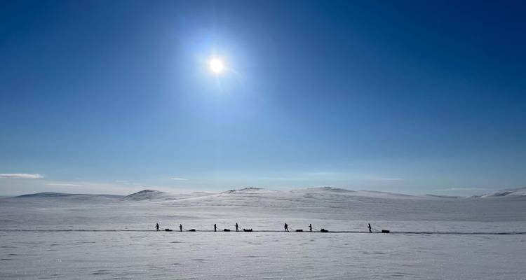 Tiny line of skiers crossing vast snowy expanse beneath bright midday sun and clear sky.