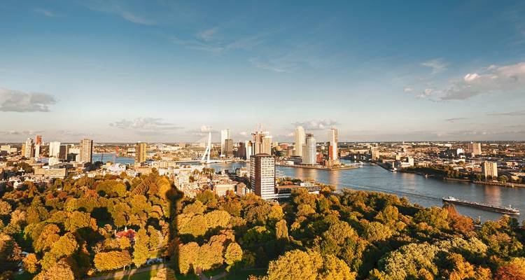 Sweeping panorama of Rotterdam skyline, river and autumn-colored park below a clear sky.