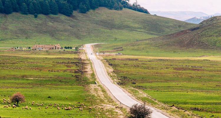 Route de campagne s'étendant à travers une large vallée verdoyante avec des moutons qui paissent et des collines boisées au-delà.