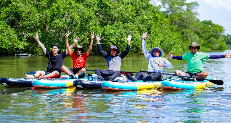 Un groupe joyeux assis sur des planches de paddle levant les bras en célébration sur une eau calme