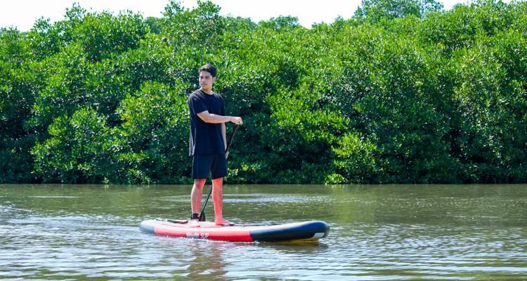 Pagayeur solitaire se tenant avec assurance sur une eau calme avec une dense mangrove en arrière-plan