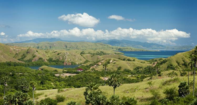 Les collines verdoyantes rencontrent les baies turquoise et les montagnes lointaines sous un ciel bleu éclatant de Komodo.