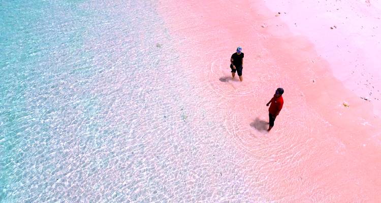 Deux visiteurs marchent dans l'eau cristalline le long de la célèbre plage de sable rose de Komodo.