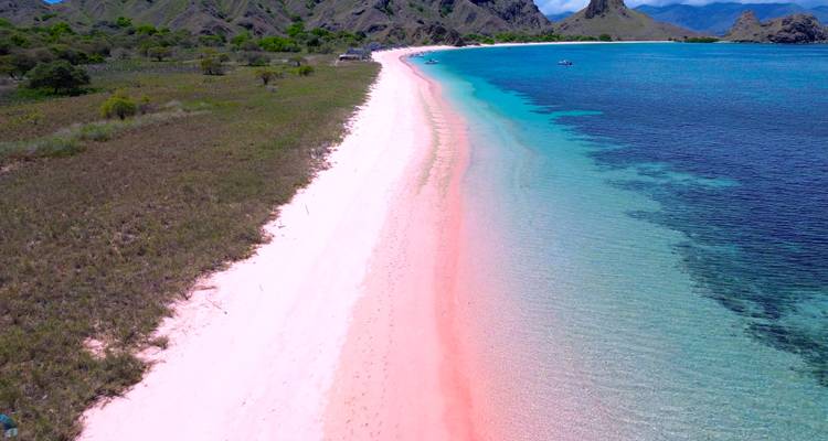 Vue aérienne d'un long ruban de sable rose bordé par une mer turquoise éclatante et des collines escarpées.