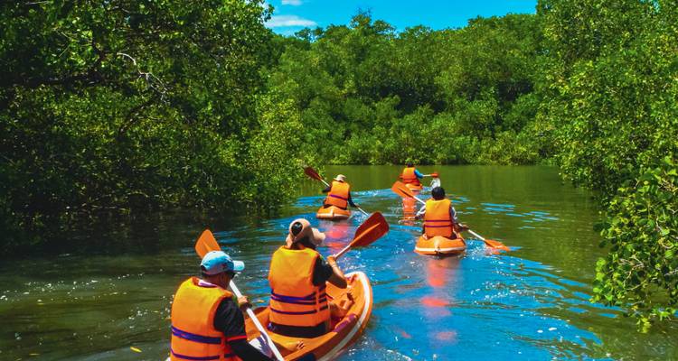 Groupe de kayakistes vêtus de gilets de sauvetage orange naviguant à la pagaie dans un canal de mangrove luxuriant.