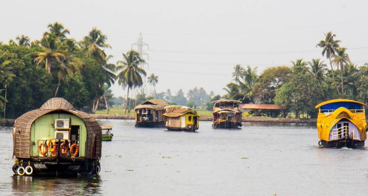 Traditionele kettuvallam woonboten die varen door de rustige, met palmbomen omzoomde backwaters van Kerala.
