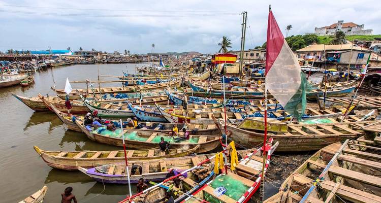 Port de pêche animé rempli de rangées de bateaux en bois colorés et de drapeaux flottants.